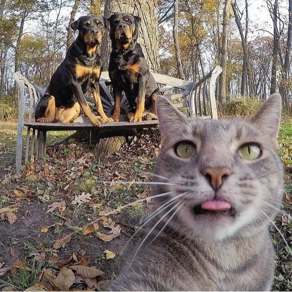 Meet your Posher, Teresa - Picture 11 of 16